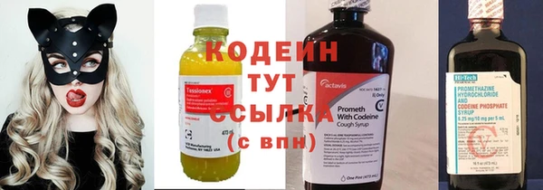 амф Елабуга