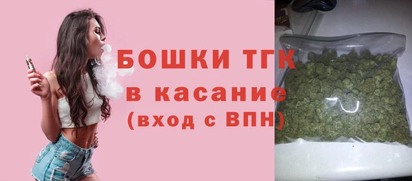 амф Елабуга