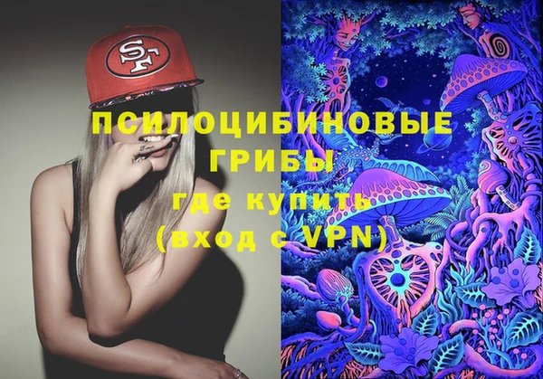 ECSTASY Ельня