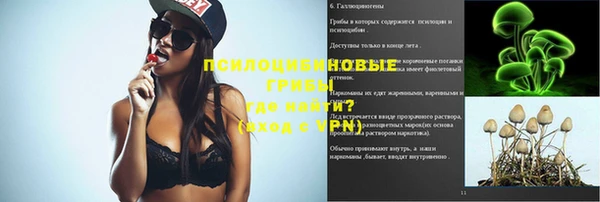ешки Елизово