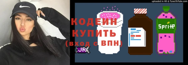 амф Елабуга