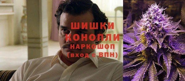амф Елабуга