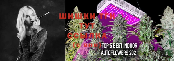 ECSTASY Ельня