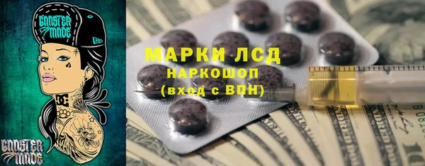ECSTASY Ельня