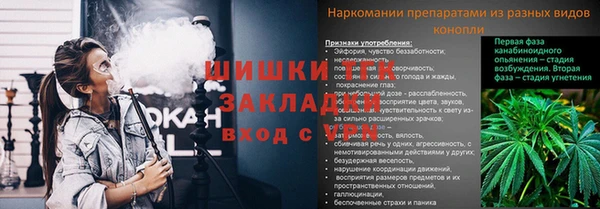 амф Елабуга