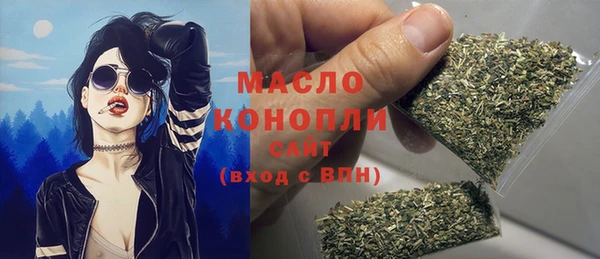 ECSTASY Ельня