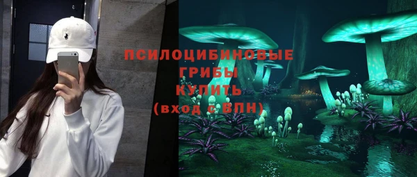ешки Елизово