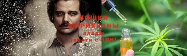 ECSTASY Ельня